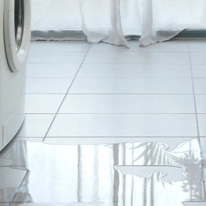Appliance Leak Cleanup in El Lago, TX