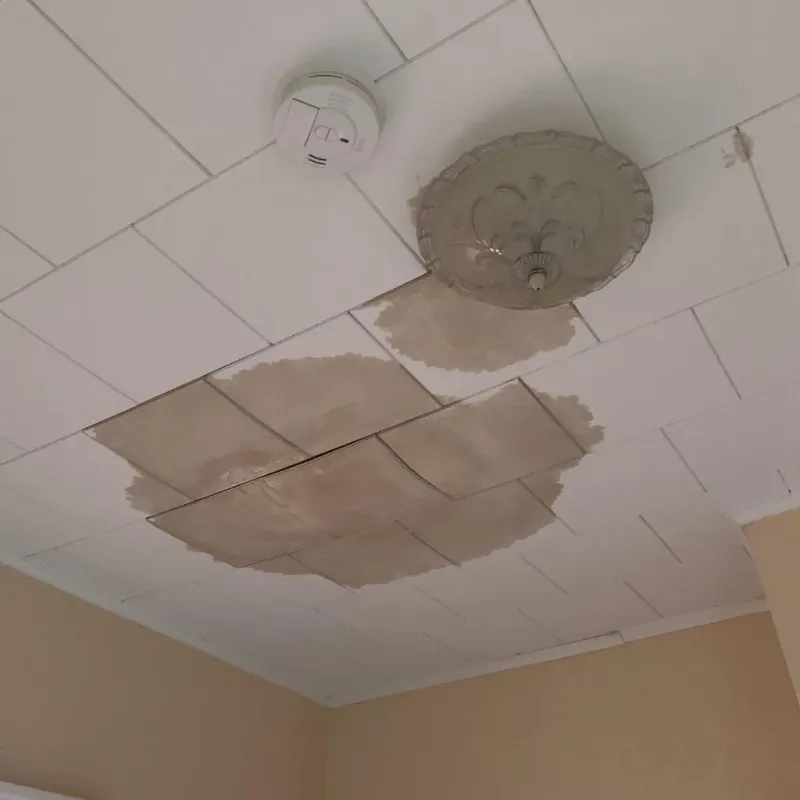 Ceiling Water Damage Repair in El Lago, TX