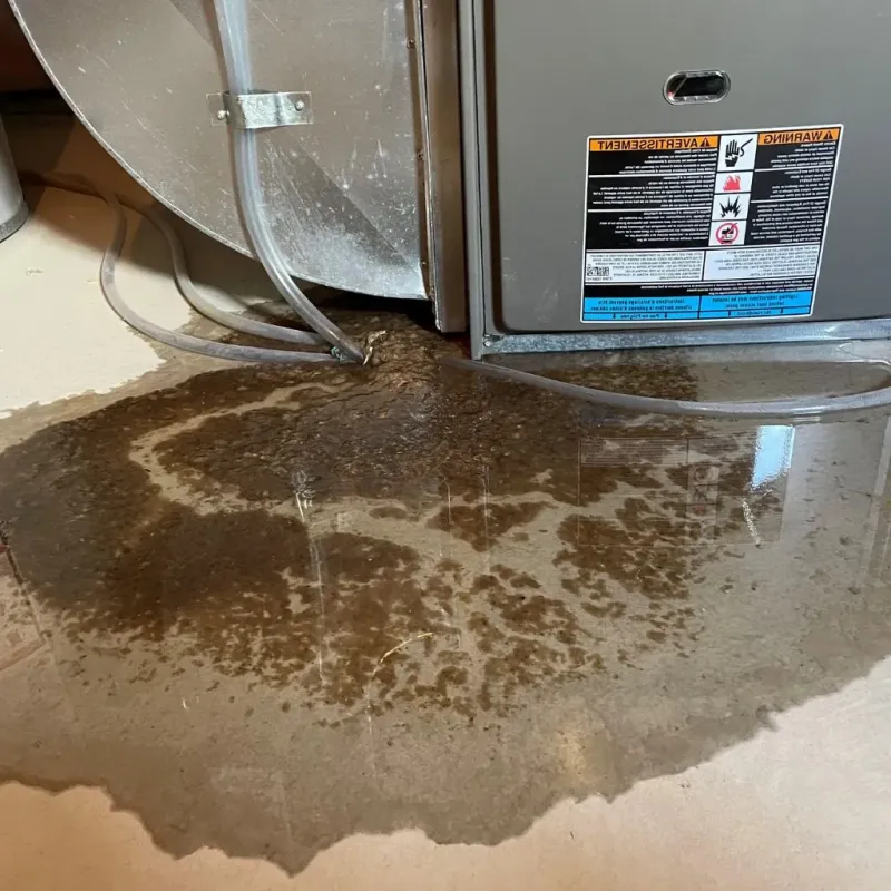 Pipe Burst and Leak Restoration in El Lago, TX
