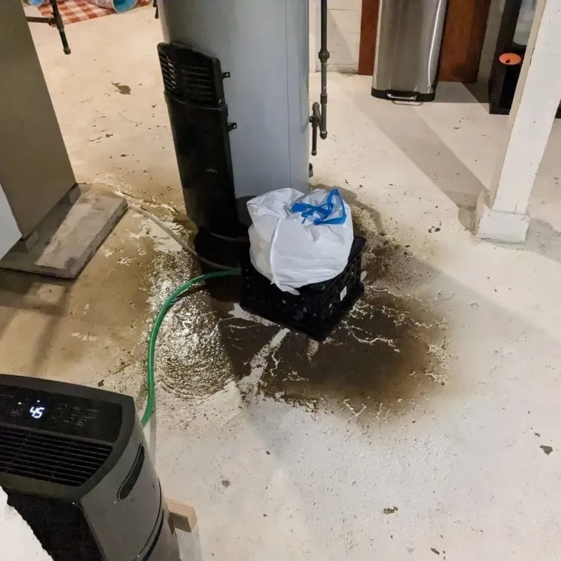 Sewage Backup Cleanup Service in El Lago, TX